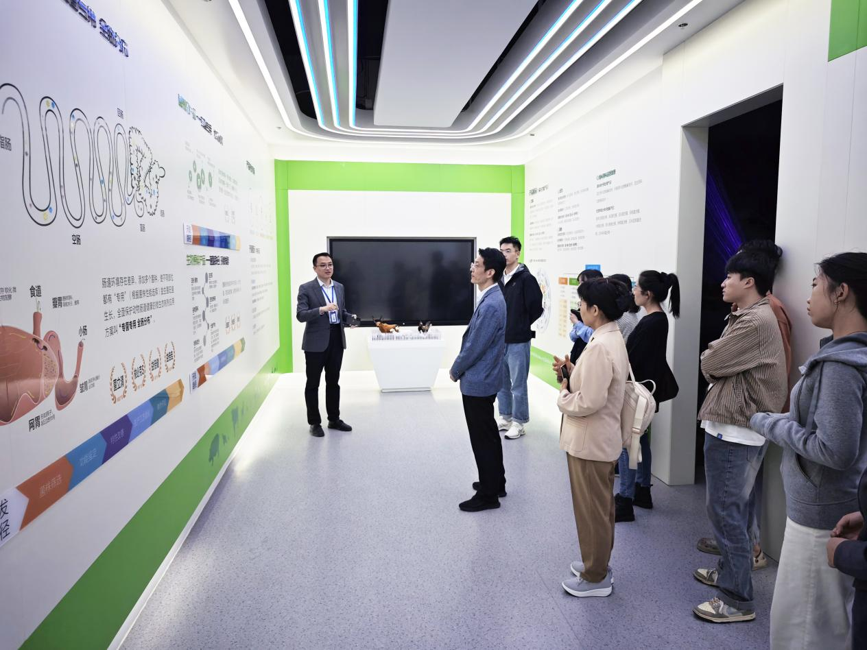 1761092203965107.png 图片5.png